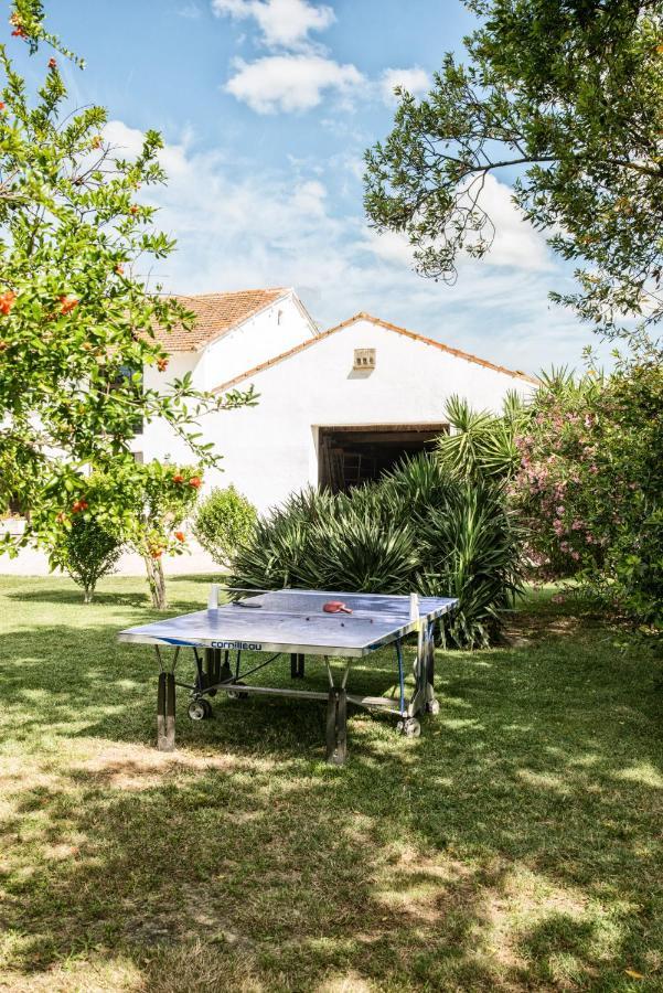 Mas De Bouvet En Camargue Bed & Breakfast Albaron Bagian luar foto