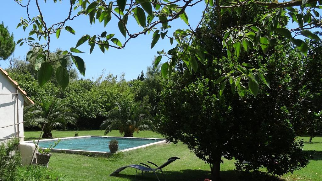 Mas De Bouvet En Camargue Bed & Breakfast Albaron Bagian luar foto