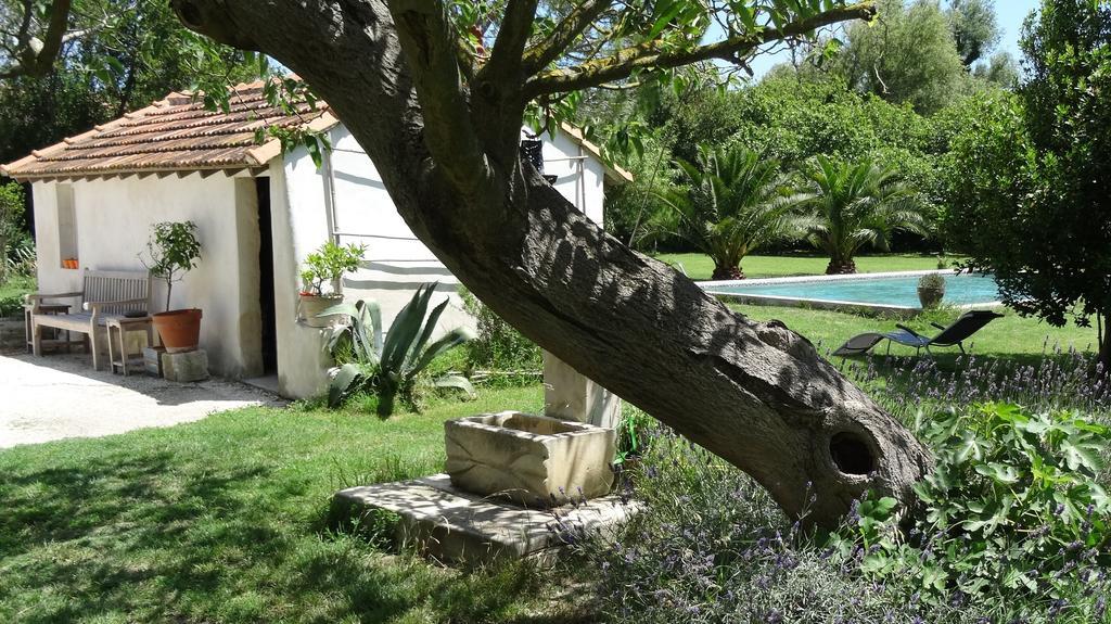 Mas De Bouvet En Camargue Bed & Breakfast Albaron Bagian luar foto