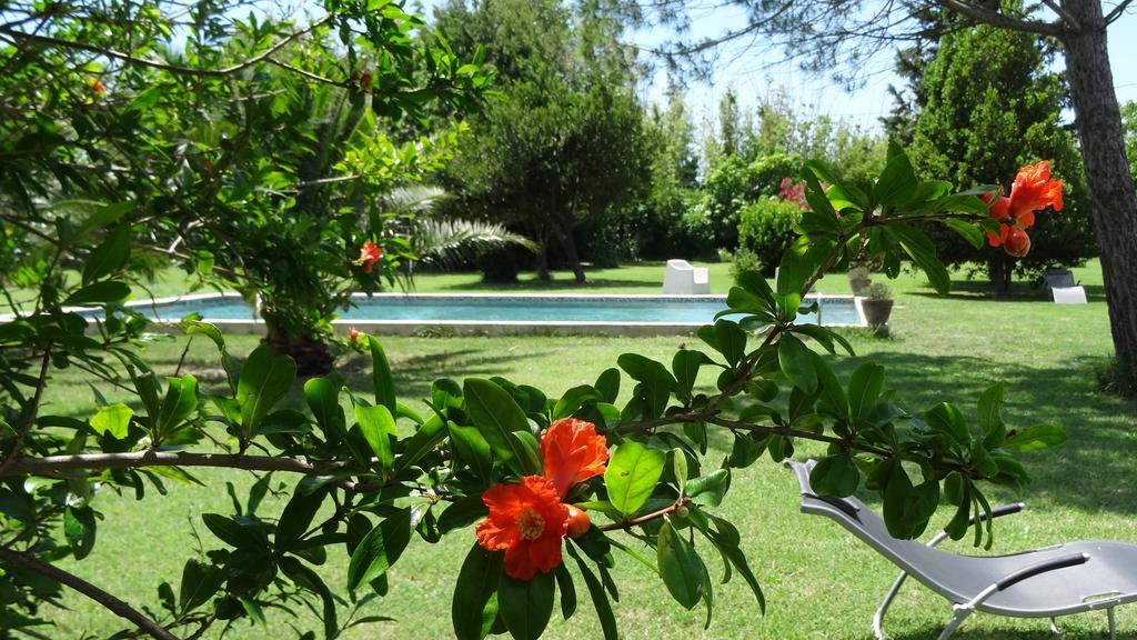 Mas De Bouvet En Camargue Bed & Breakfast Albaron Bagian luar foto