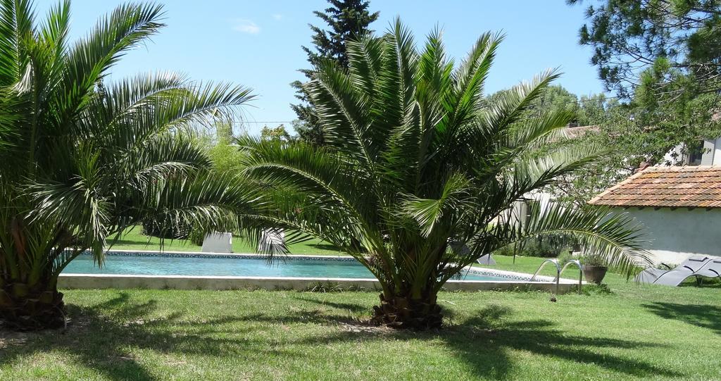 Mas De Bouvet En Camargue Bed & Breakfast Albaron Bagian luar foto