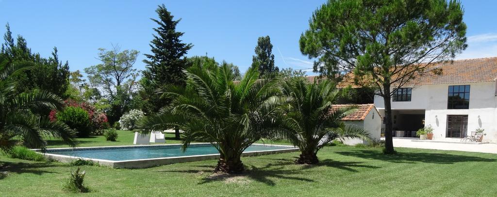 Mas De Bouvet En Camargue Bed & Breakfast Albaron Bagian luar foto