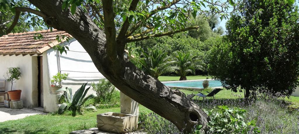 Mas De Bouvet En Camargue Bed & Breakfast Albaron Bagian luar foto