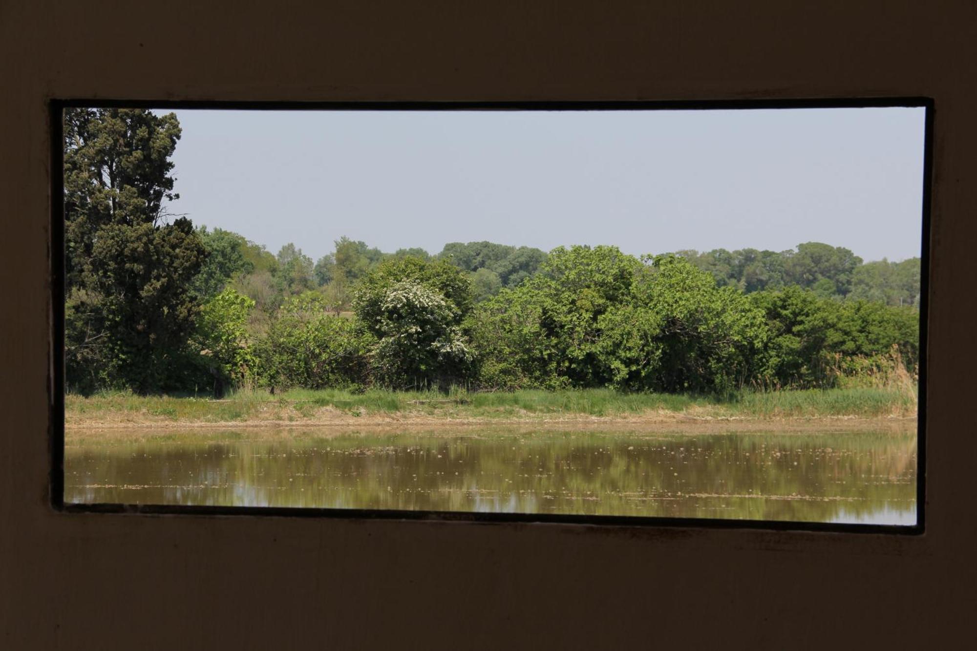 Mas De Bouvet En Camargue Bed & Breakfast Albaron Bagian luar foto