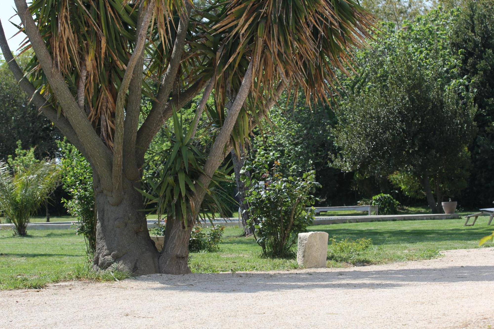 Mas De Bouvet En Camargue Bed & Breakfast Albaron Bagian luar foto