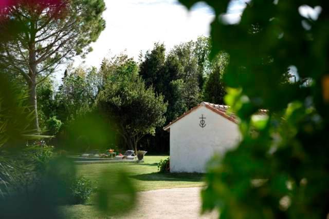 Mas De Bouvet En Camargue Bed & Breakfast Albaron Bagian luar foto