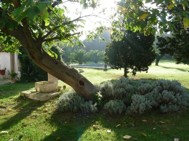 Mas De Bouvet En Camargue Bed & Breakfast Albaron Bagian luar foto