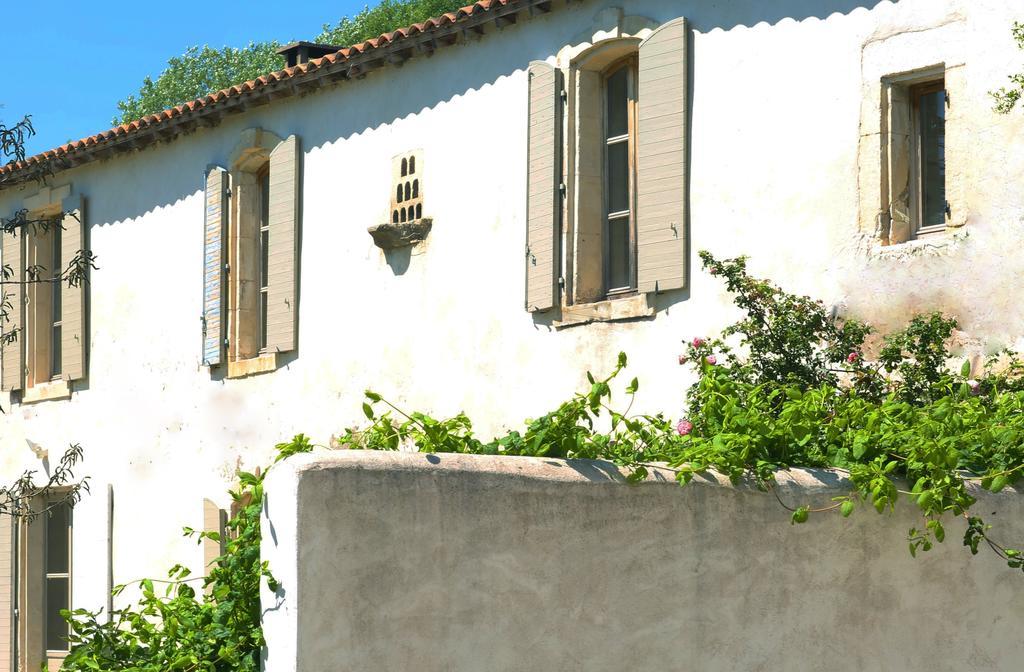 Mas De Bouvet En Camargue Bed & Breakfast Albaron Bagian luar foto